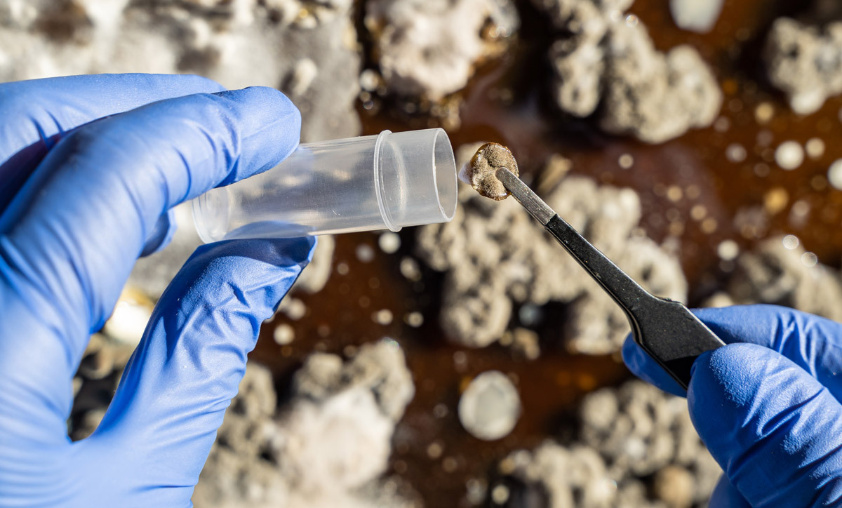 Décontamination Qc Décontamination Qc