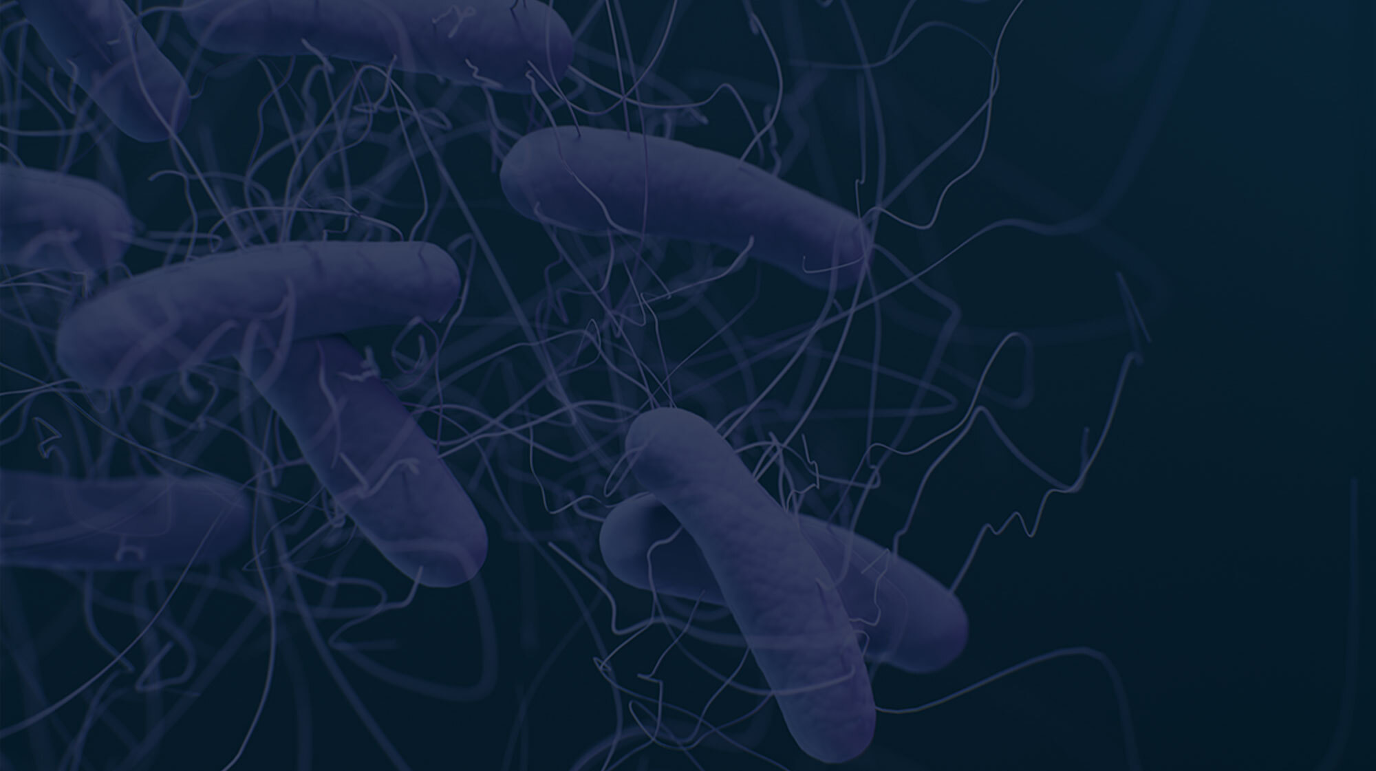 Copie - Entête Simple - Articles